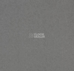 Линолеум Forbo De Luxe 2782-3112 mid neutral grey фото 1 | FLOORDEALER